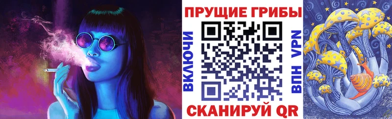 Купить закладки  Елизово  Галлюциногенные грибы MAGIC MUSHROOMS 